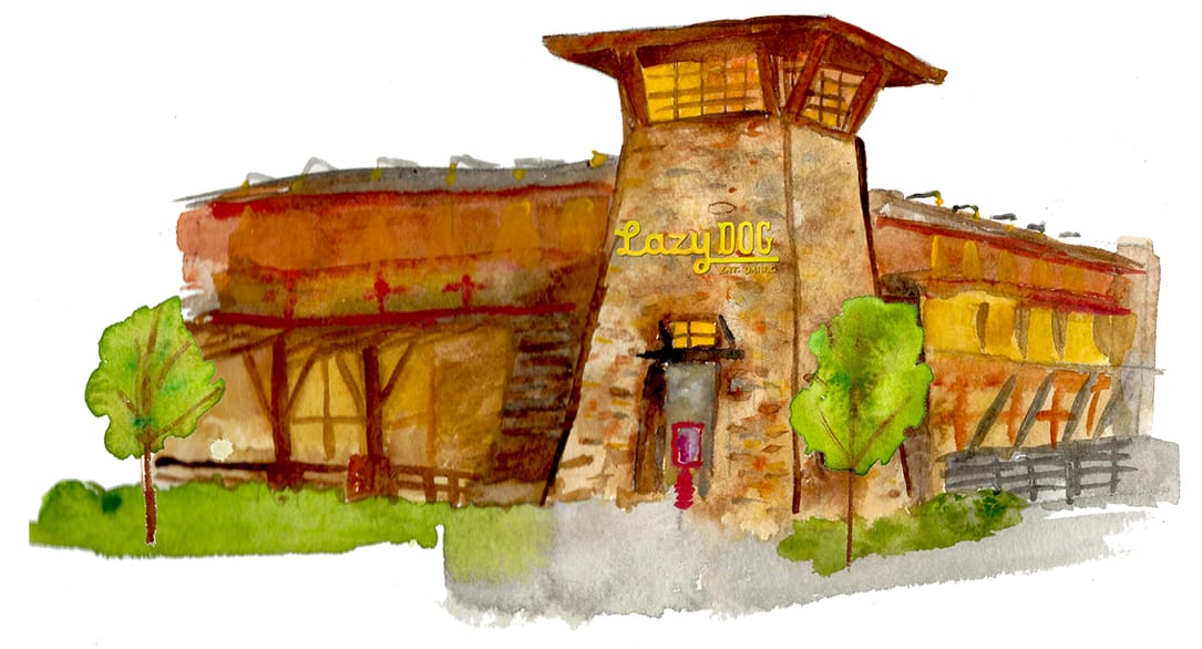 Lazy Dog Restaurant & Bar - Restaurant in Torrance